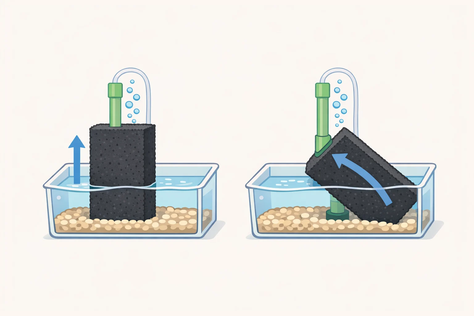 Illustration of a sink-side tray holding a sponge upright in a divider slot to expose all sides to airflow and improve drying