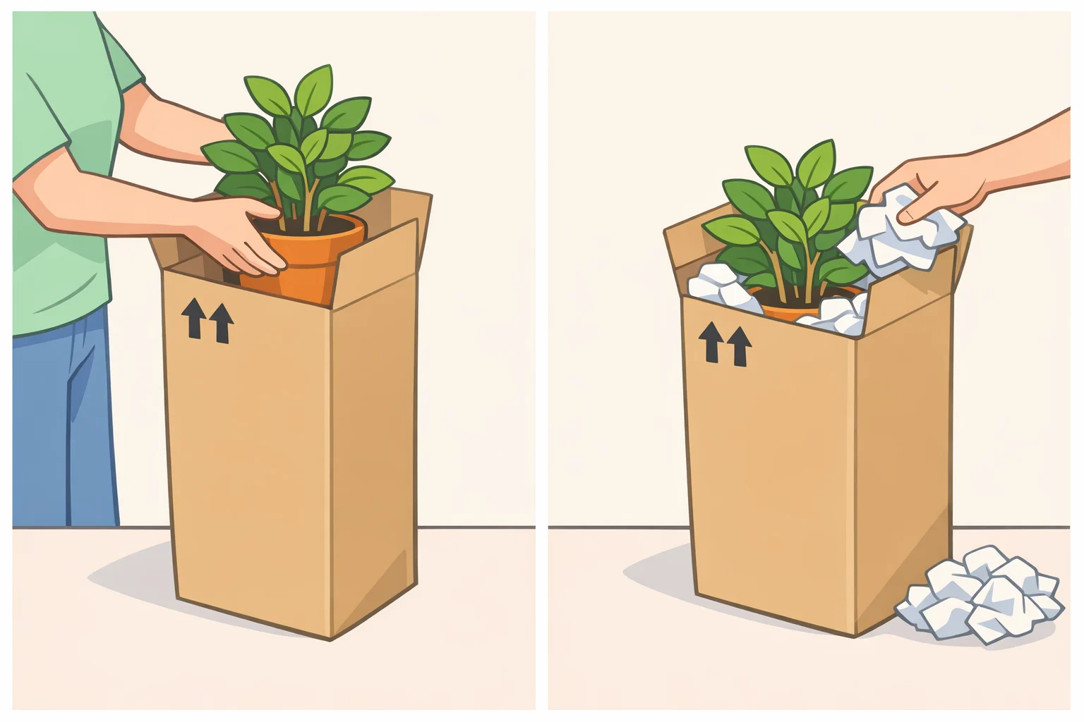 Illustration of upright, labeled cardboard boxes with potted plants secured using crumpled paper to prevent shiftingpart of how to move houseplants safely