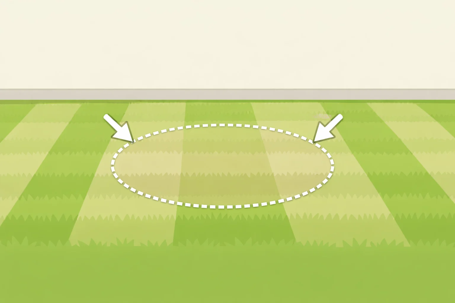 A lawn with a uniform whitish to light-brown tinge spread across the entire cut line, illustrating dull mower blade damage