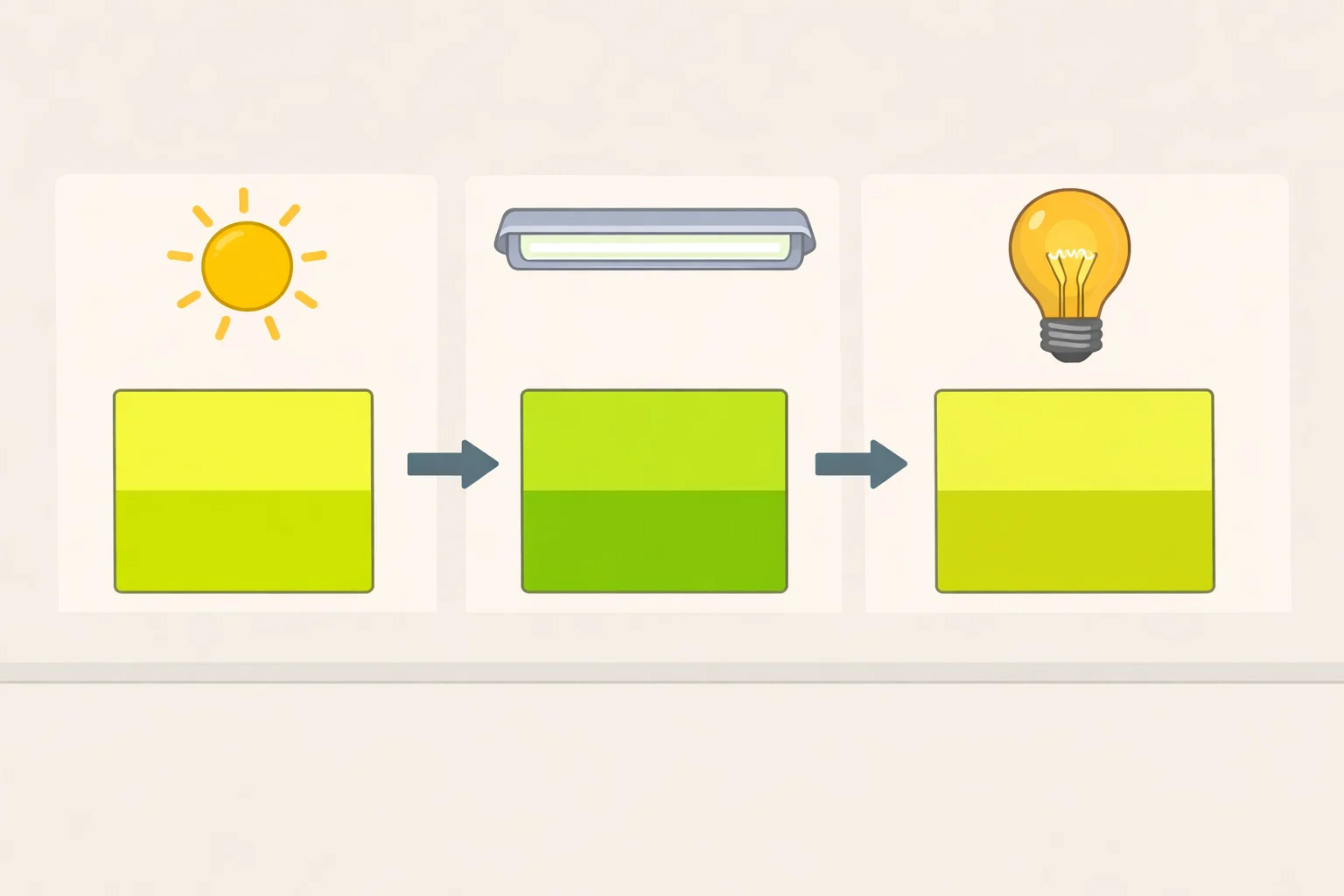 A set of chartreuse paint swatches demonstrating how the yellow-green hue shifts warmer or cooler depending on surrounding colors and light conditions